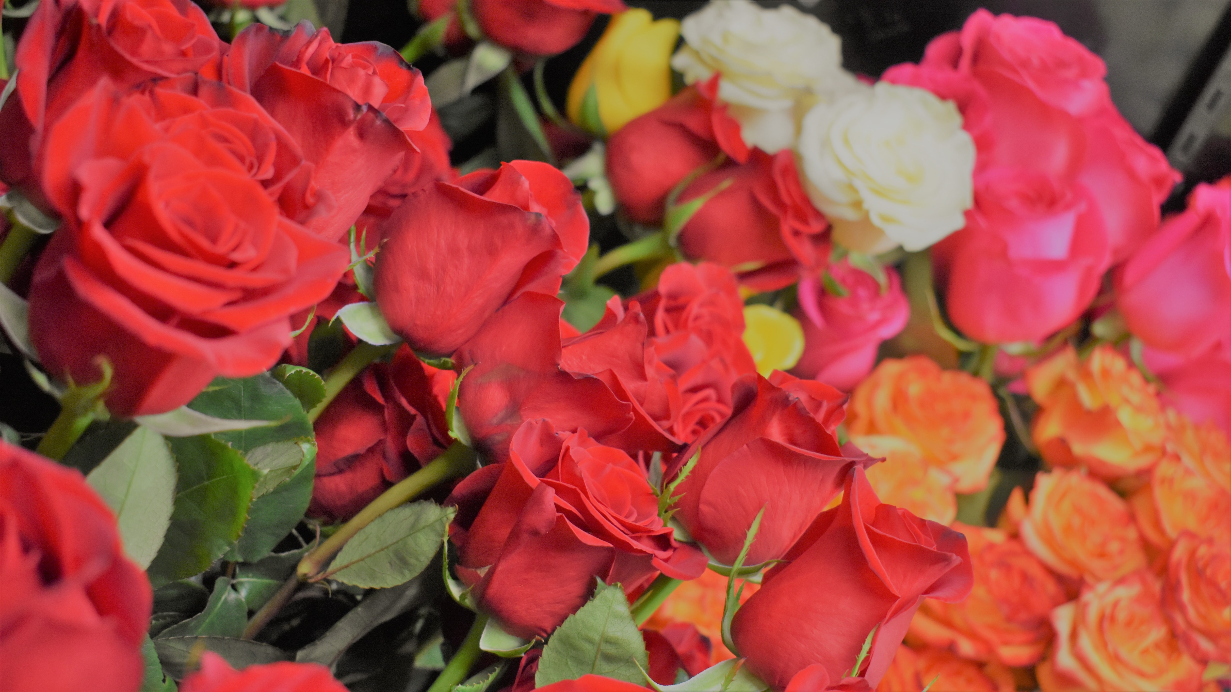 Flower Delivery to Shakopee by Pearson Florist